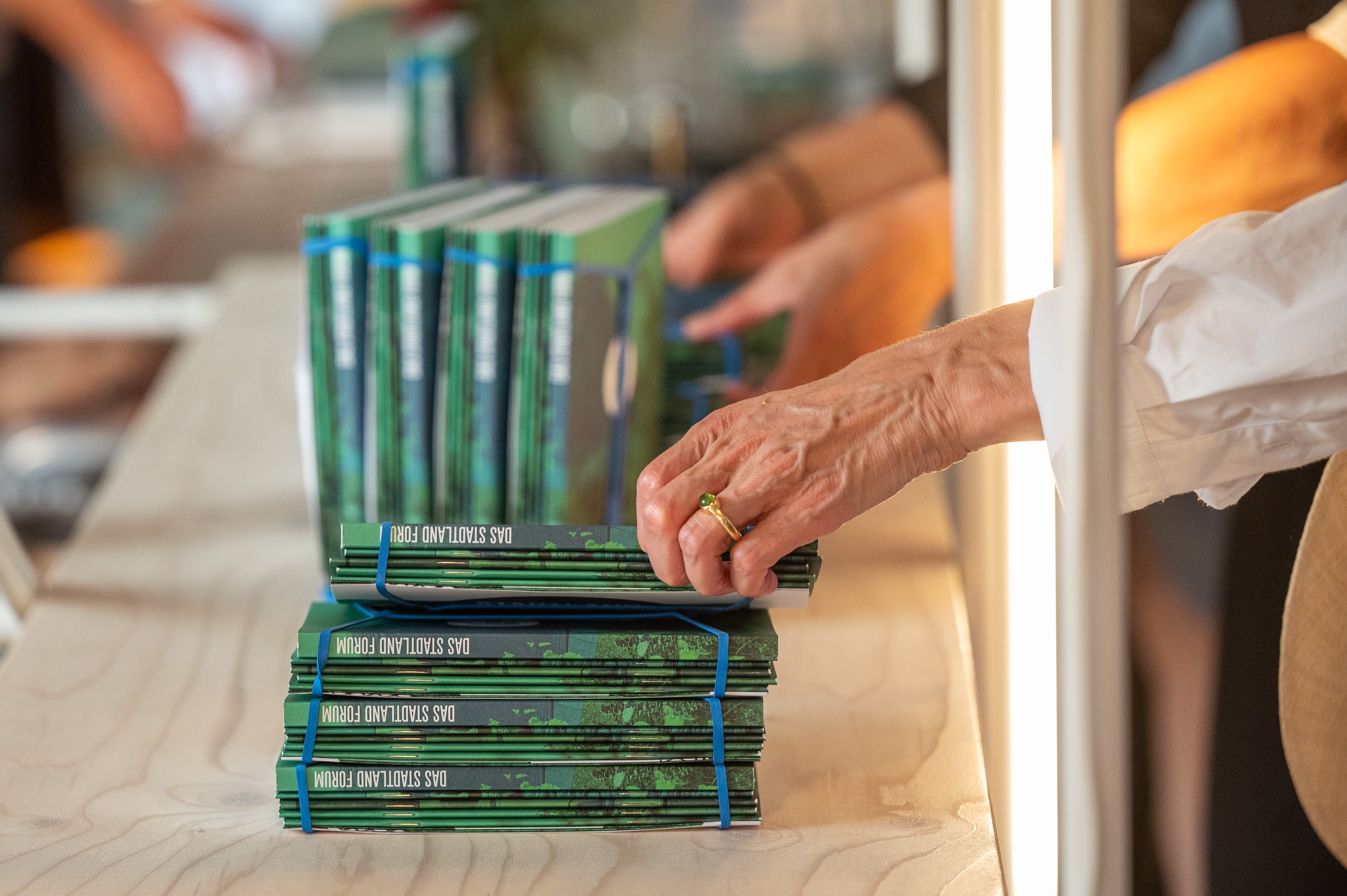 Bildbeschreibungstext